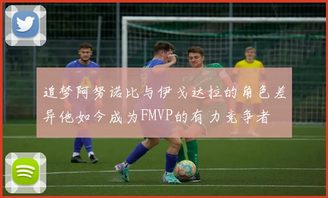 追梦阿努诺比与伊戈达拉的角色差异他如今成为FMVP的有力竞争者