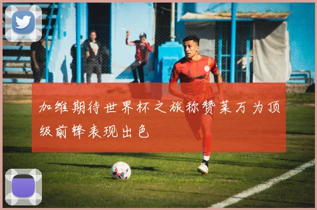 加维期待世界杯之旅称赞莱万为顶级前锋表现出色